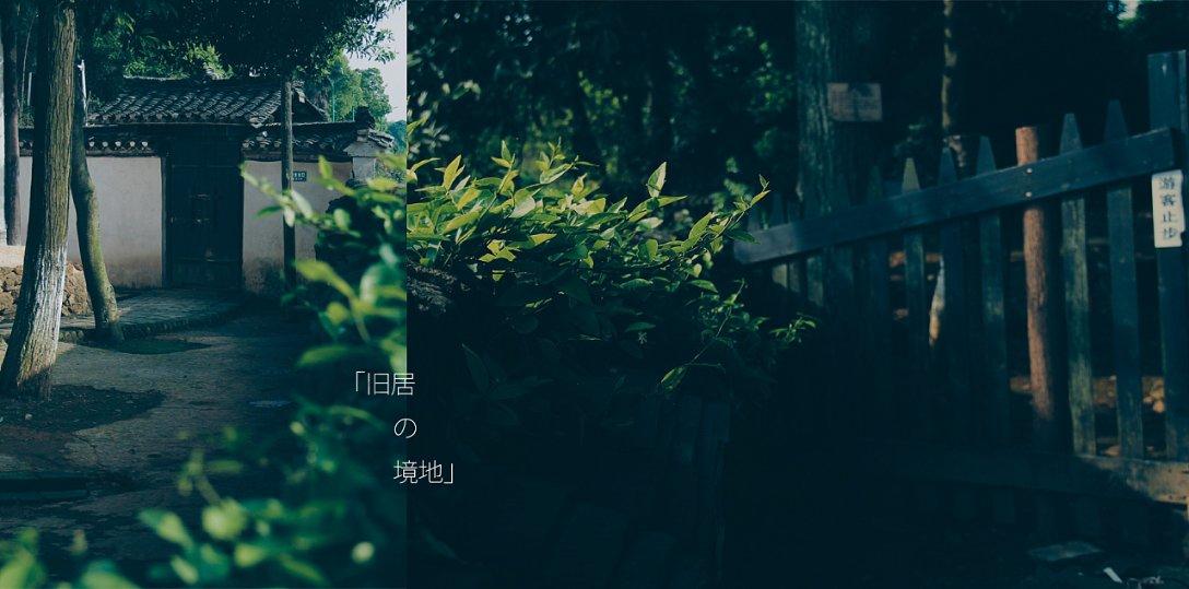 欧阳夏丹现场爆料主持《新闻联播》，竟因为语速太快遭到电话投诉游戏画面