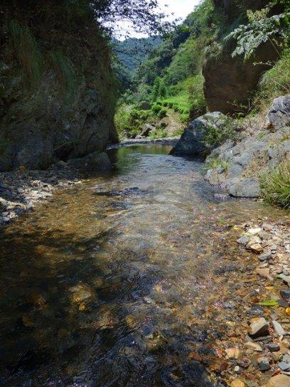 逃出安逸小乡村