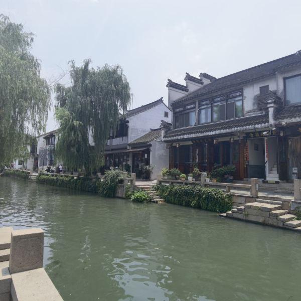 营救小猫头鹰